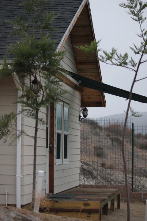 arboles junto a la casa del arroyo