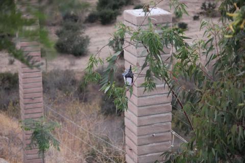 pilares dentro de la propiedad