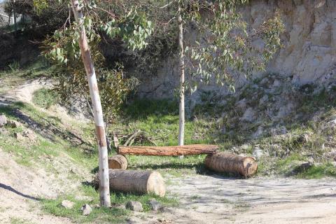 troncos para sentarse y disfrutar la sombra