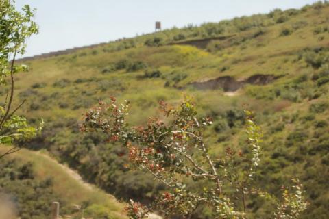 monte verde frente la casa