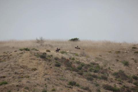 vaqueros en el cerro de frente